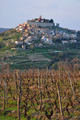 Motovun