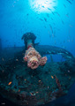 SS Thistlegorm