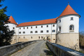 Mokrice
