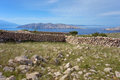 Pašnjak