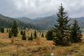 Veliki Lubenov…