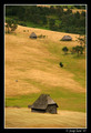 Zlatibor