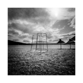 Pinhole day 20…