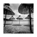 Pinhole day 20…