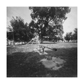 Pinhole day 20…