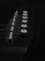 GUITAR DETAIL