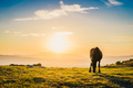 Sunrise with h…