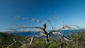 Kornati, pogle…