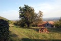 Prigorje