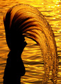 Golden splash 2