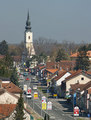 Pitomača