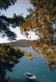 MLJET 2