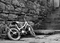 Mini bike