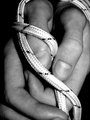 To sto slikam.&hellip;
