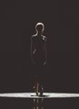 Shadow ballet