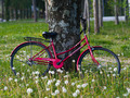 Red Bike