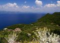 Mljet