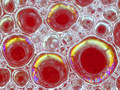 Bubbles