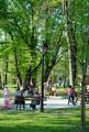 park..