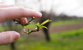 Spring is natu…