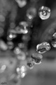 Drops of happi…