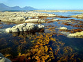 Kaikoura Coast