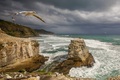 Muriwai Cliffs 