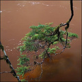 Paparoa River