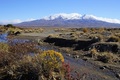 Mt Ruapehu