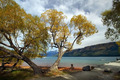 Glenorchy