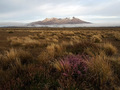 Mt Ruapehu