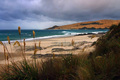 Hokianga