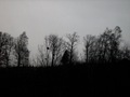 Black winter d&hellip;
