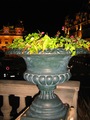 Flower cup
