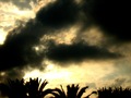 Summer memory