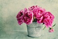 peony