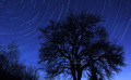 Star trails