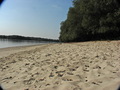 Dunavski pjesak