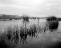 Jezero Orešje.…
