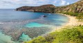 Hanauma Bay