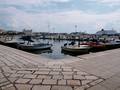 jutro u mandra…