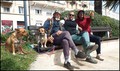 ljudi p(a)si i…