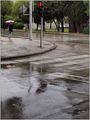 "kišo moj…