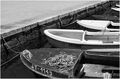 Stara garda s …