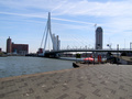 Erasmusbrug