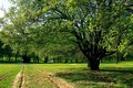 našički park