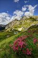 ovčja planina