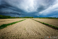 ...the storm i…