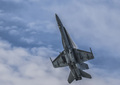 F-18 Hornet