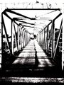 Bridge over tr&hellip;